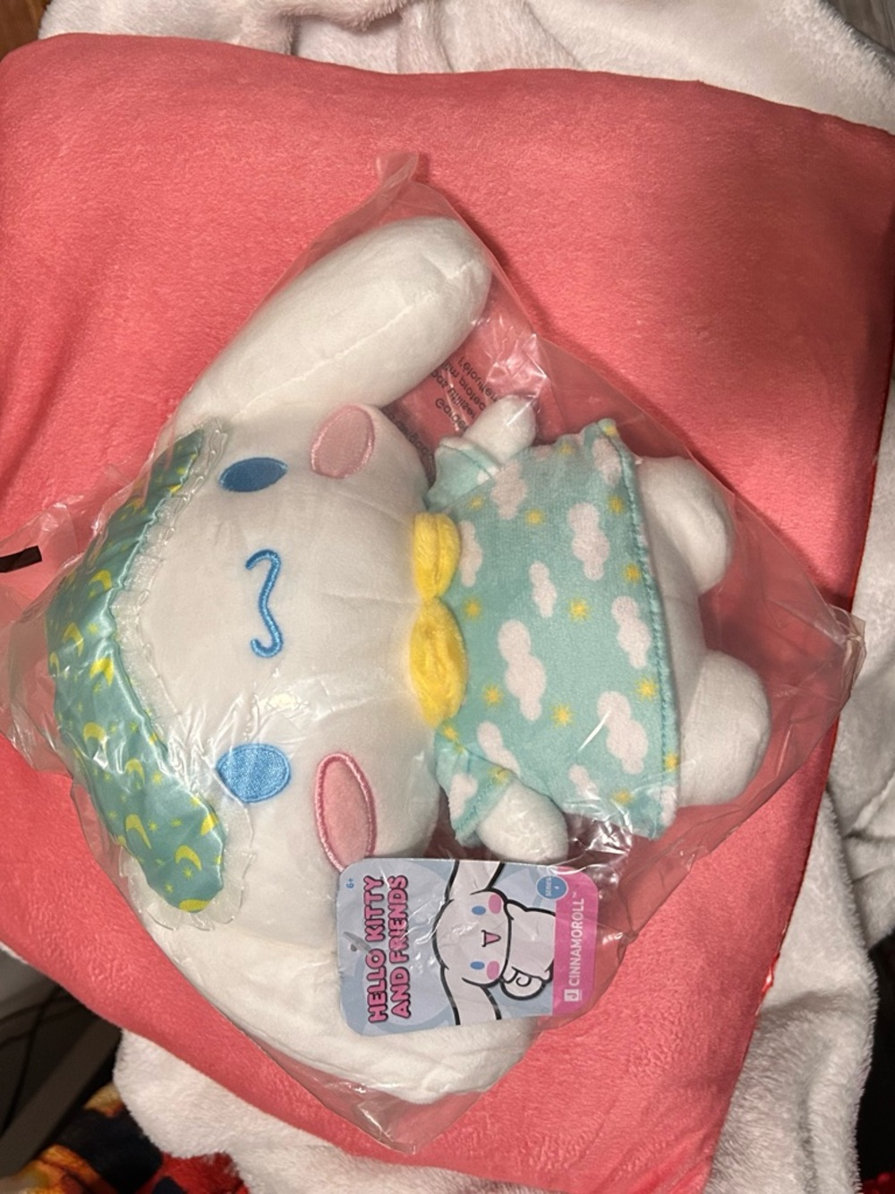 Hello Kitty & Friends Cinnamoroll Plush